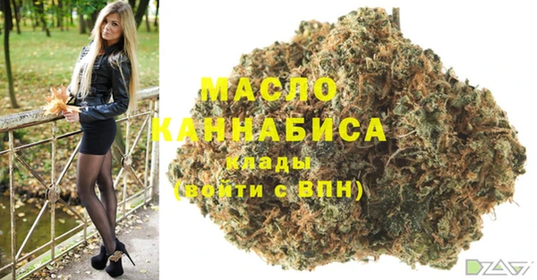 первитин Няндома