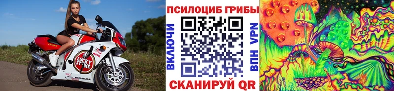 Псилоцибиновые грибы Psilocybine cubensis  наркота  kraken ссылки  Янаул 